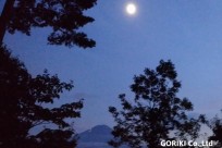 星のや富士様「ナイトライトウォッチング」