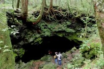 樹海ネイチャーツアー
