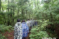 樹海ネイチャーツアー