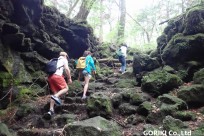 樹海ネイチャーツアー