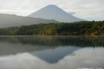 樹海ネイチャーツアー