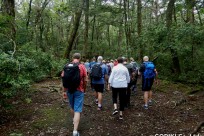 特別樹海ネイチャーツアー(㈱日本旅行国際事業部:イギリス、オーストラリア、ニュージーランドのゲストの皆様）