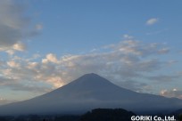 樹海ネイチャーツアー