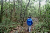 樹海ネイチャーツアー