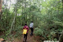 樹海ネイチャーツアー