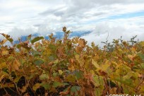 星のや富士様「グラマラス富士登山」