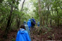 樹海ネイチャーツアー