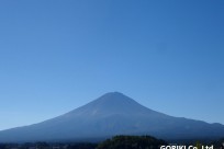樹海ネイチャーツアー