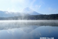 樹海ネイチャーツアー