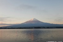 樹海ネイチャーツアー