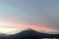 樹海ネイチャーツアー