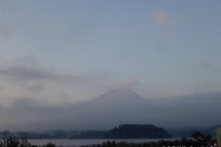 樹海ネイチャーツアー