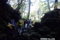 樹海ネイチャーツアー