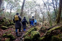 樹海ネイチャーツアー
