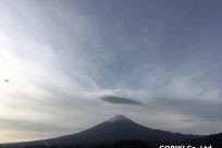 樹海ネイチャーツアー