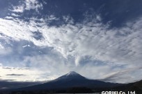 樹海ネイチャーツアー