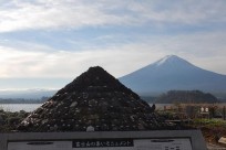 樹海ネイチャーツアー