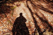 樹海ネイチャーツアー（取材）