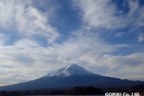 樹海ネイチャーツアー