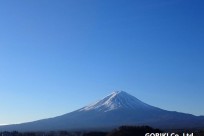 樹海ネイチャーツアー