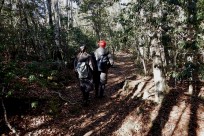 樹海ネイチャーツアー