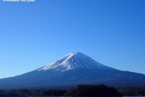樹海ネイチャーツアー