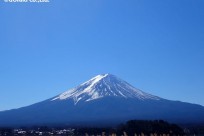 樹海ネイチャーツアー
