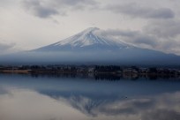 樹海ネイチャーツアー