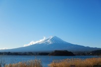 樹海ネイチャーツアー