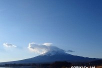 樹海ネイチャーツアー