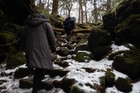 樹海ネイチャーツアー