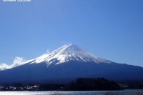樹海ネイチャーツアー