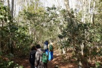 樹海ネイチャーツアー