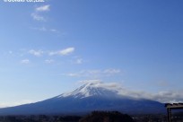 樹海ネイチャーツアー