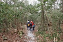 樹海ネイチャーツアー