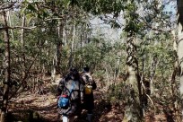 樹海ネイチャーツアー