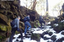 樹海ネイチャーツアー