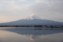 樹海ネイチャーツアー