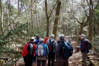 特別樹海ネイチャーツアー(㈱日本旅行国際事業部:オーストラリア、ニュージーランドのゲストの皆様）