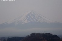 樹海ネイチャーツアー