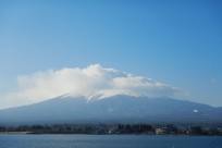 樹海ネイチャーツアー
