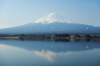 樹海ネイチャーツアー