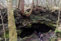 樹海ネイチャーツアー
