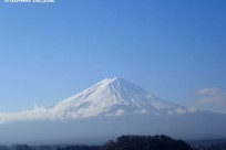樹海ネイチャーツアー