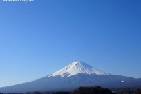 樹海ネイチャーツアー
