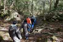 樹海ネイチャーツアー