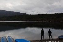 樹海ネイチャーツアー