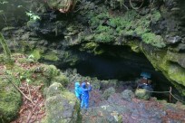 樹海ネイチャーツアー