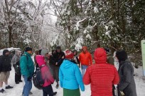 特別樹海ネイチャーツアー(㈱日本旅行国際事業部:オーストラリア、ニュージーランド、イギリスのゲストの皆様）