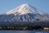樹海ネイチャーツアー